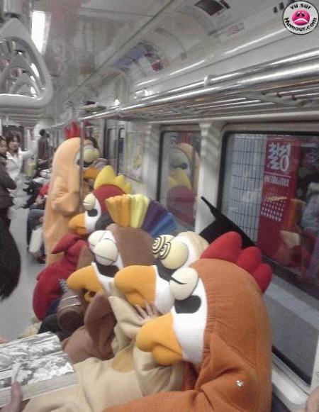 Insolite